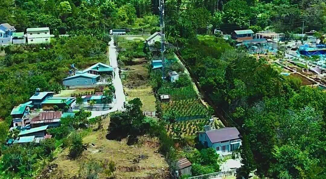 Cần Bán Gấp Đất rộng view đẹp đường Mimoza, Đà Lạt 6296m2 giá 13.5 tỷ - Ảnh chính